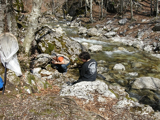 Escursione Parco Nazionale d''Abruzzo